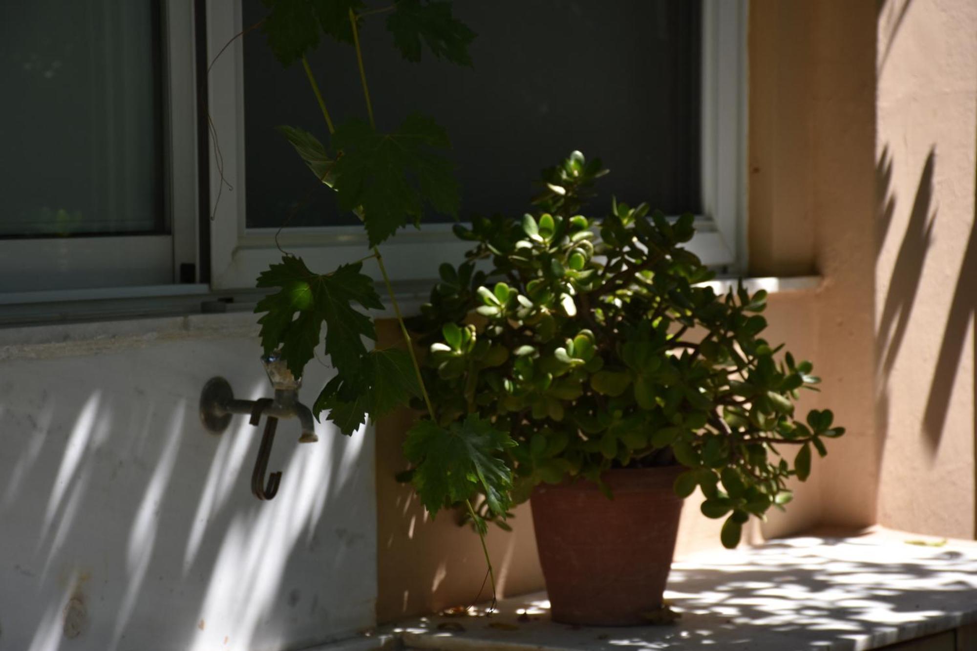 גרני צ'ניון Villa Gerani מראה חיצוני תמונה